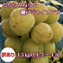 【ふるさと納税】【BE24−07】サントリー「ザ・プレミアム...
