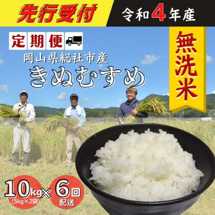 米 無洗米 令和4年産 10kg 5kg×2袋 定期便 6回配送 きぬむすめ 特A 総社 そうじゃ