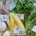 【ふるさと納税】おまかせ有機野菜セット【配達不可:離島】 【野菜・セット・詰合せ】