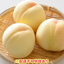 【ふるさと納税】【年末早期受付】岡山県産 白桃キング 1.5...