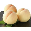 【ふるさと納税】●先行予約受付●岡山白桃 1.5kg(5〜6...