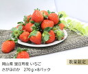 【ふるさと納税】先行予約 いちご(さがほのか)約270g×8...