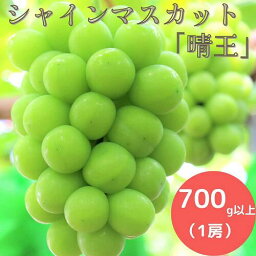 【ふるさと納税】岡山県産 <strong>シャインマスカット</strong> 700g以上 (1房)_【9月中旬から10月中旬発送】_A5