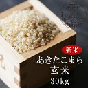【ふるさと納税】<令和3年産・新米>G30 おおがや米 あきたこまち 玄米30kg