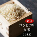 【ふるさと納税】<令和3年産・新米>G31 おおがや米 コシヒカリ 玄米30kg