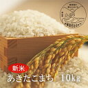 【ふるさと納税】<令和3年産・新米>G32おおがや米 あきたこまち 白米10kg
