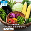 【ふるさと納税】<春・夏・秋 年3回発送>F9西粟倉産「旬の野菜 おまかせセット」×3 20,000円