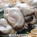 【ふるさと納税】生かき(むき身)2kg入り 【魚貝類・生牡蠣・かき】 お届け:2020年1月中旬~3月下旬