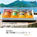 【ふるさと納税】島の恵み 瀬戸内 柑橘ジャム 人気アソート 4本セット 【ジャム みかん 広島県産 果物 フルーツ 食べ比べ 詰め合わせ セット】