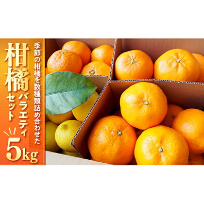 柑橘バラエティセット 5kg 詰め合わせ みかん レモン セット ＜2023年1月下旬より発送開始＞