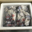 【ふるさと納税】【加熱用】宮島が育んだ生かき(むき身)