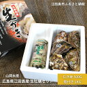 yӂ邳Ɣ[Łz1蔭 RY y y H yZbg ނg 500g kt 1kg L ]c Y Mtg 蕨 