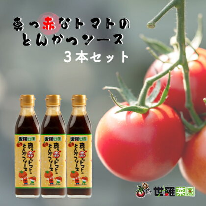 真っ赤なとんかつソース 3本セット 調味料 トンカツソース とんかつソース トマト とまと 広島県 A007-01