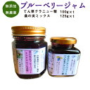【ふるさと納税】ブルーベリージャム 2個セット N-50A ...