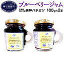 【ふるさと納税】ブルーベリー ジャム N-80A (純粋ハチ...