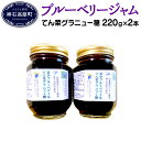 【ふるさと納税】ブルーベリー ジャム N-80C (北海道産 てん菜グラニュー糖 220g×2本) 無農薬 化学肥料不使用 無添加 国産 広島県産 送料無料