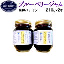 【ふるさと納税】ブルーベリー ジャム N-80D (純粋ハチ...