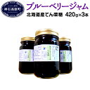 【ふるさと納税】ブルーベリー ジャム N-200A (北海道...