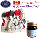 【ふるさと納税】アームカバー(赤系猫柄)&ブルーベリージャム...