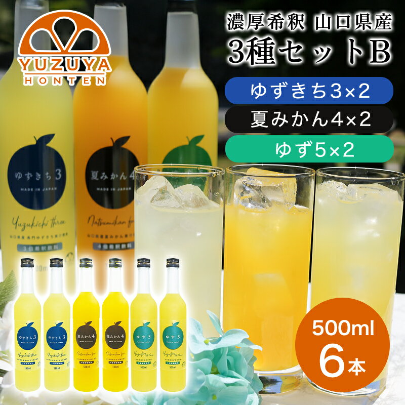 【ふるさと納税】柑橘 ジュース 濃厚希釈 山口県産 3種セットB 500ml×6本 セット /夏みかん 柚子 ゆずきち