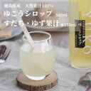 【ふるさと納税】徳島特産のゆこうで作ったシロップとすだち・ゆずの果汁セット【1209857】