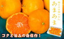 【ふるさと納税】雨よけ完熟ミカン あまあま ※12月中旬頃か...