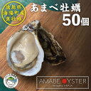 【ふるさと納税】 あまべ牡蠣 50個 生食用 牡蠣 殻付き シングルシード かき カキ オイスター 生ガキ 生牡蠣 生がき