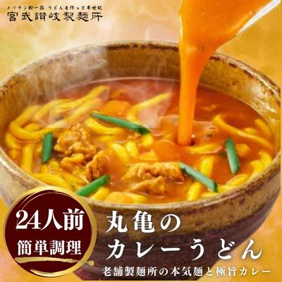 【<strong>ふるさと納税</strong>】<strong>カレーうどん</strong> 丸亀からお届け コク旨 カレー うどん 24人前 麺類 乾麺 生麺 半生麺 讃岐 レンジ 本格的 本場 簡単 スパイス 手軽 人気 電子レンジ ご家庭用 家庭用 ギフト 一人暮らし　【 丸亀市 】