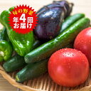 【ふるさと納税】旬の野菜詰合せ(年間4回定期便) 【野菜類・...