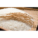 【ふるさと納税】【平成30年産】香川県産 コシヒカリ 10k...