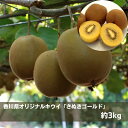 【ふるさと納税】香川県オリジナルキウイ「さぬきゴールド」約3...