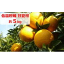 【ふるさと納税】低温貯蔵 甘夏柑 約5kg 【果物類・柑橘類・フルーツ・みかん・ミカン・低温貯蔵】 お届け:2023年5月下旬~6月上旬