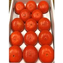【ふるさと納税】【数量限定】新品種!みはやみかん 約3kg※...