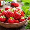 【ふるさと納税】香川県オリジナル品種 さぬきひめ 2kg(1...