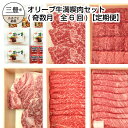【ふるさと納税】オリーブ牛満喫肉セット(奇数月 全6回)【定...