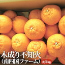 【ふるさと納税】木成り不知火(南四国ファーム) A01-741 【果物類・みかん・柑橘類・愛媛県産・ポンカン】 お届け:2023年2月下旬~3月下旬