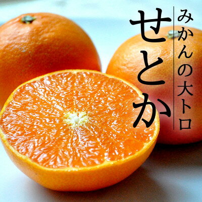 【ふるさと納税】愛媛・八幡浜産「高級柑橘・せとか:5kg」【訳あり】【C48-33】【1131722】