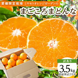 【ふるさと納税】【訳あり】紅まどんなと同品種! 愛媛限定栽培柑橘 愛媛果試28号 3.5kg【C25-133】【1166250】