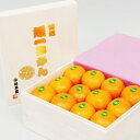 【ふるさと納税】“愛媛みかんを味わう” 特選 桐箱入り 媛一...