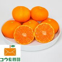 【ふるさと納税】どーんと山盛り!10kg小玉みかん【1051...
