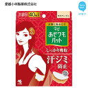 【ふるさと納税】 愛媛小林製薬「Riff あせワキパット モ...