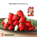 【ふるさと納税】<摘みたて完熟いちご「ひのいちご」(250g...