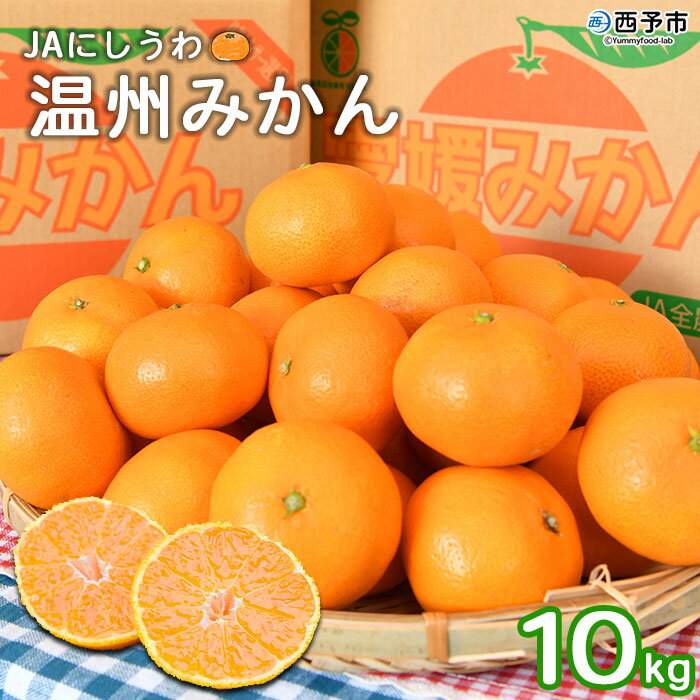 【ふるさと納税】＜JAにしうわ 温州みかん 約10kg＞ 果物 ミカン 柑橘 フルーツ 食べて応援 特産品 愛媛県 西予市 【常温】『2022年11月下旬から12月中旬迄に順次出荷予定』