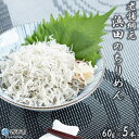 【ふるさと納税】<老舗網元 浜田のちりめん 計300g(60...