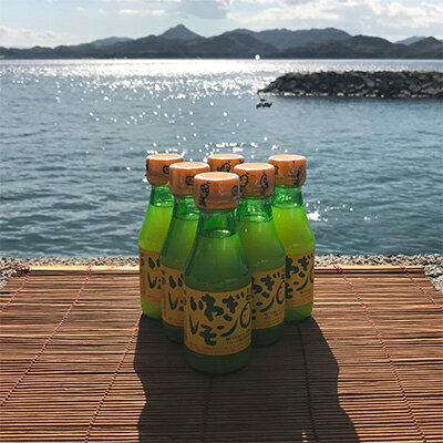 2022年10月発送開始『定期便』青いレモンの島　レモン果汁　150ml×6本(2カ月セット)全2回【5074744】