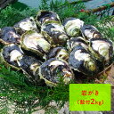 【ふるさと納税】岩がき(殻付2kg) 【魚貝類・生牡蠣・かき...