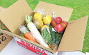 【ふるさと納税】取りたて新鮮!旬の野菜詰め合わせセット 【野...