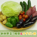 【ふるさと納税】RK008野菜7種とポン酢セット