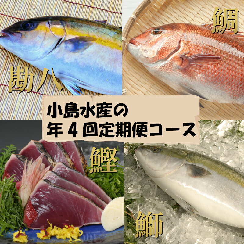 【ふるさと納税】定期便 魚介類 刺身 「小島水産の年4回”お楽しみ”コース」産地直送 鰤（ブリ） 鰹（カツオ） 藁焼きたたき 鯛（タイ）勘八（カンパチ） フィーレ ブランド 送料無料 お楽しみ