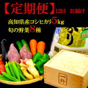 【ふるさと納税】(1年間毎月お届け)とれたて新鮮!旬の朝採れ...
